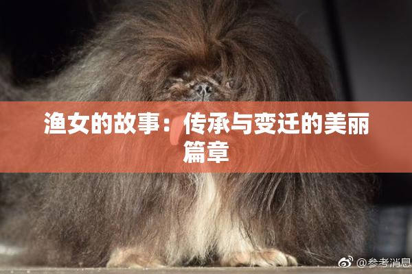 渔女的故事：传承与变迁的美丽篇章