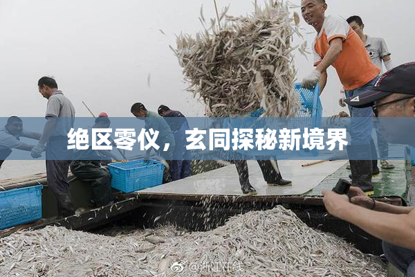 绝区零仪，玄同探秘新境界