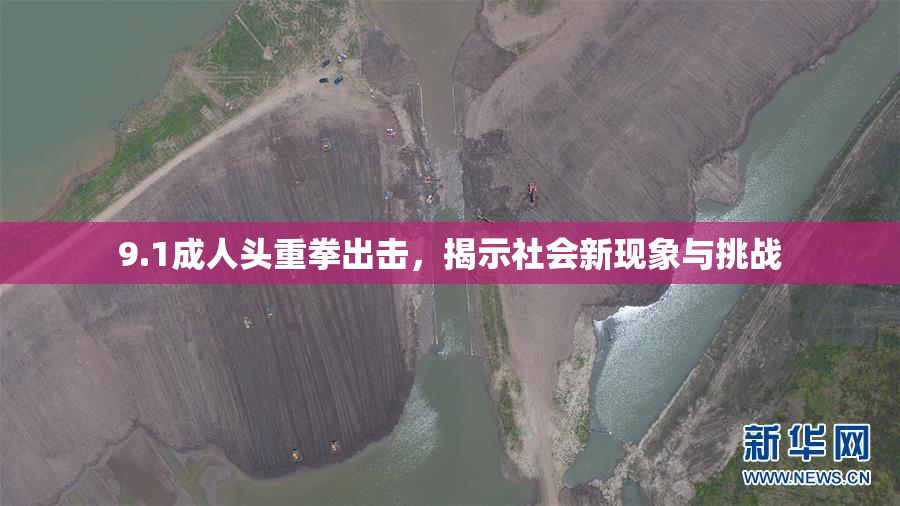 9.1成人头重拳出击，揭示社会新现象与挑战