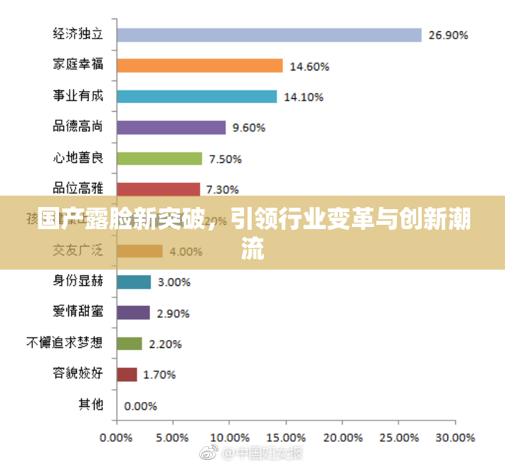 国产露脸新突破，引领行业变革与创新潮流
