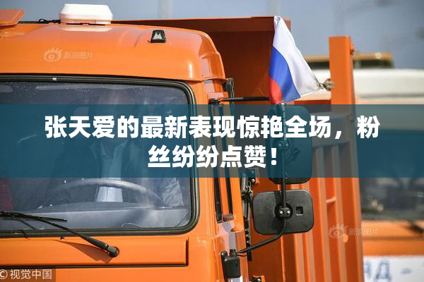 张天爱的最新表现惊艳全场，粉丝纷纷点赞！