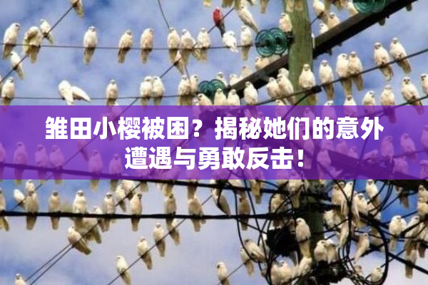 雏田小樱被困？揭秘她们的意外遭遇与勇敢反击！