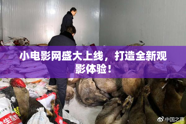 小电影网盛大上线，打造全新观影体验！