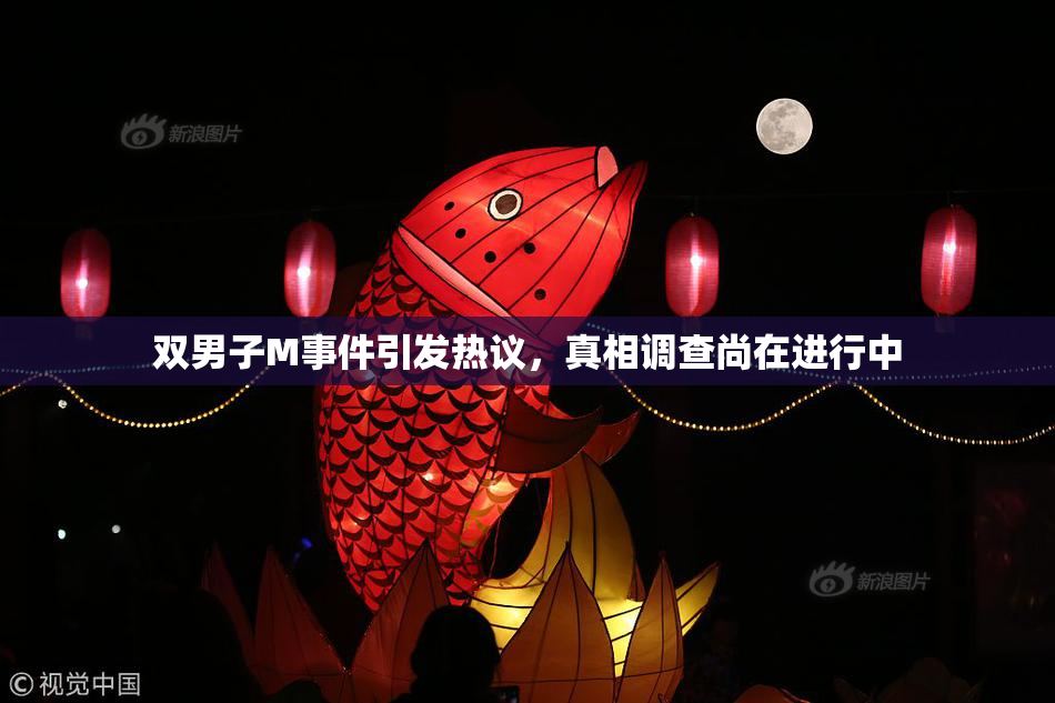 双男子M事件引发热议，真相调查尚在进行中