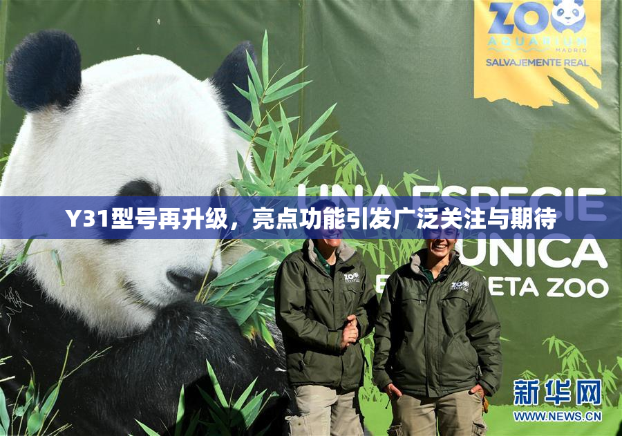 Y31型号再升级，亮点功能引发广泛关注与期待