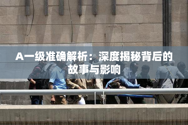 A一级准确解析：深度揭秘背后的故事与影响