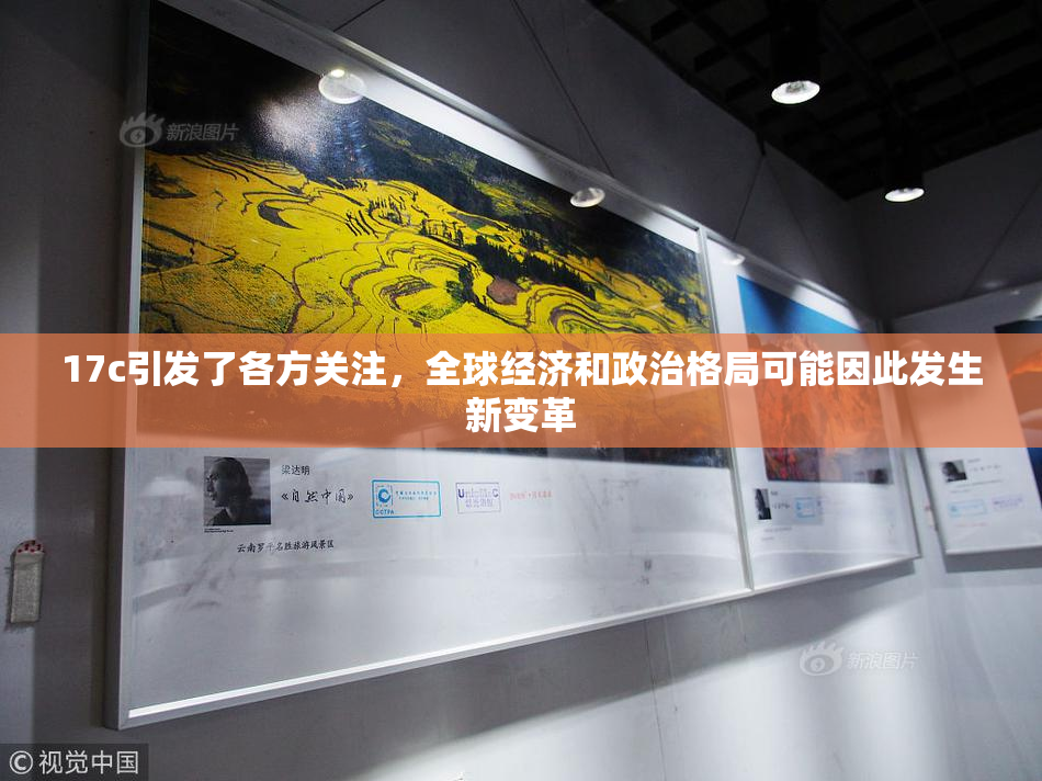 17c引发了各方关注，全球经济和政治格局可能因此发生新变革