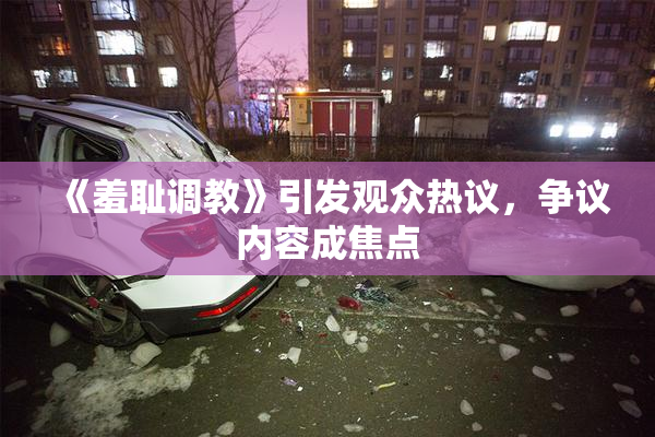 《羞耻调教》引发观众热议，争议内容成焦点