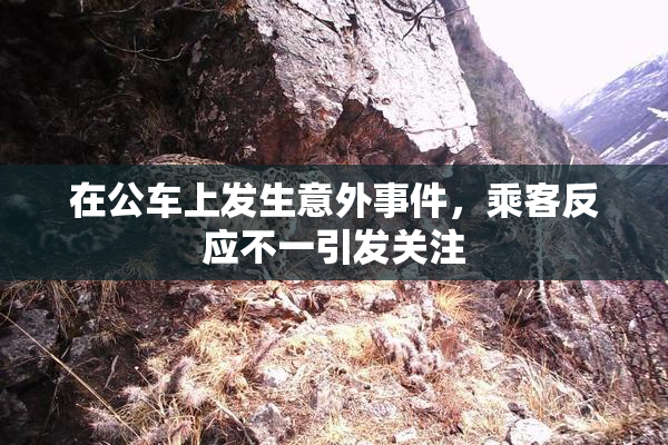 在公车上发生意外事件，乘客反应不一引发关注