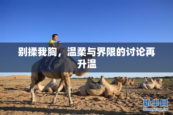 别揉我胸，温柔与界限的讨论再升温