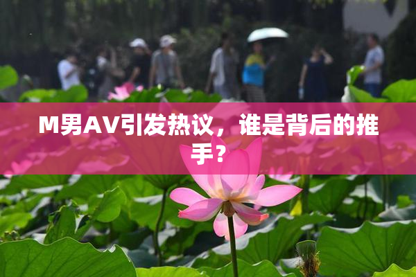 M男AV引发热议，谁是背后的推手？