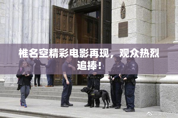 椎名空精彩电影再现，观众热烈追捧！