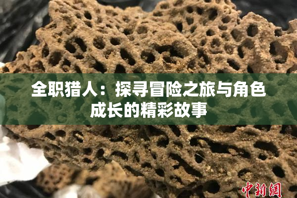 全职猎人：探寻冒险之旅与角色成长的精彩故事