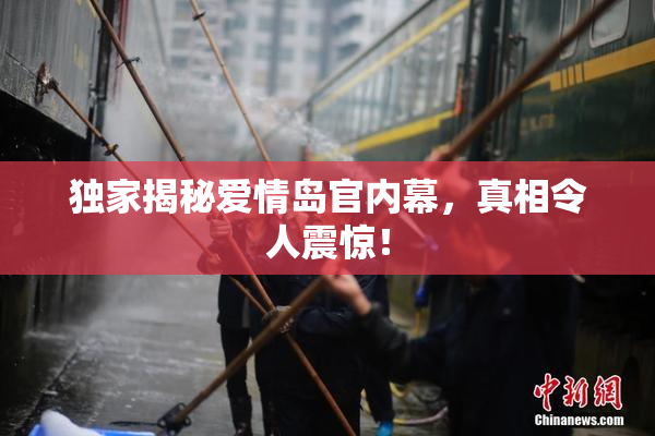 独家揭秘爱情岛官内幕，真相令人震惊！