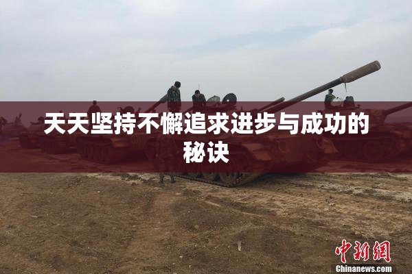 天天坚持不懈追求进步与成功的秘诀