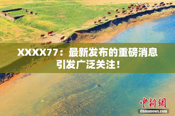 XXXX77：最新发布的重磅消息引发广泛关注！