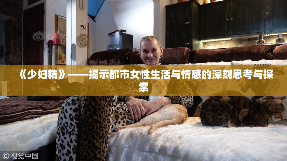 《少妇精》——揭示都市女性生活与情感的深刻思考与探索