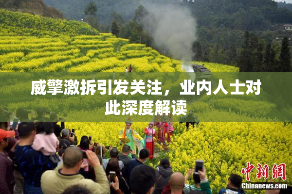威擎激拆引发关注，业内人士对此深度解读