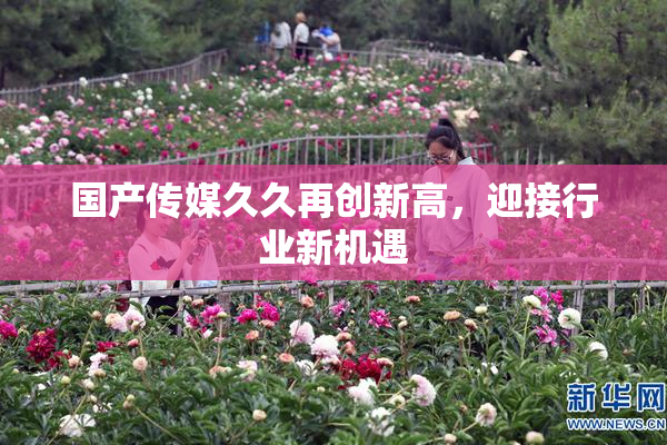 国产传媒久久再创新高，迎接行业新机遇