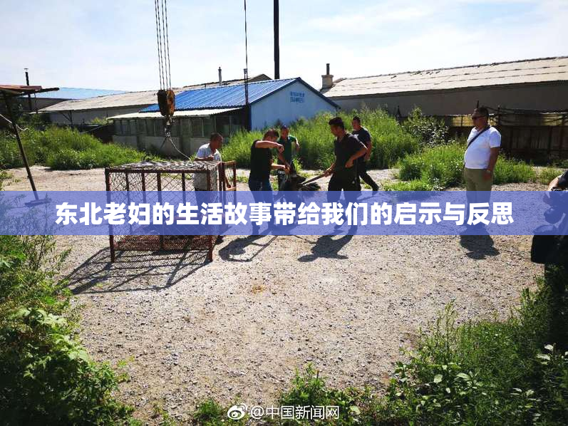 东北老妇的生活故事带给我们的启示与反思