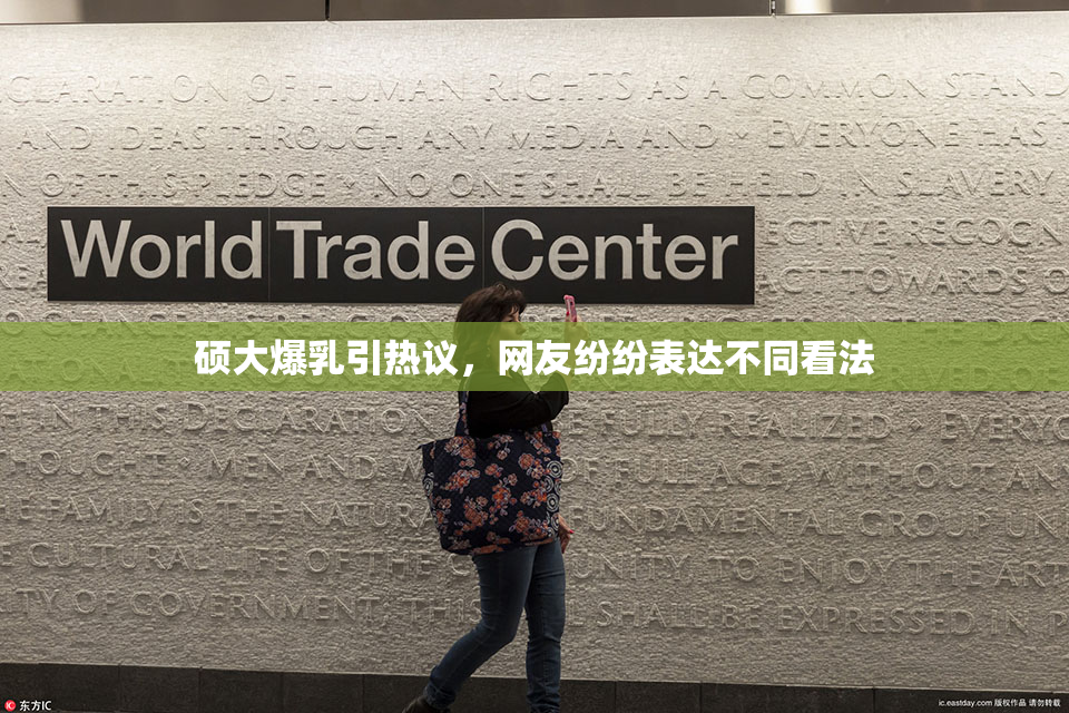 硕大爆乳引热议，网友纷纷表达不同看法