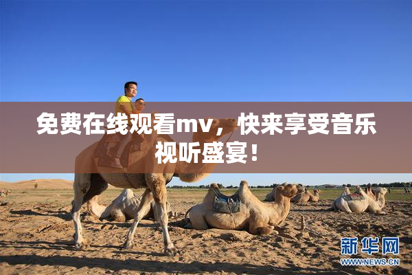 免费在线观看mv，快来享受音乐视听盛宴！