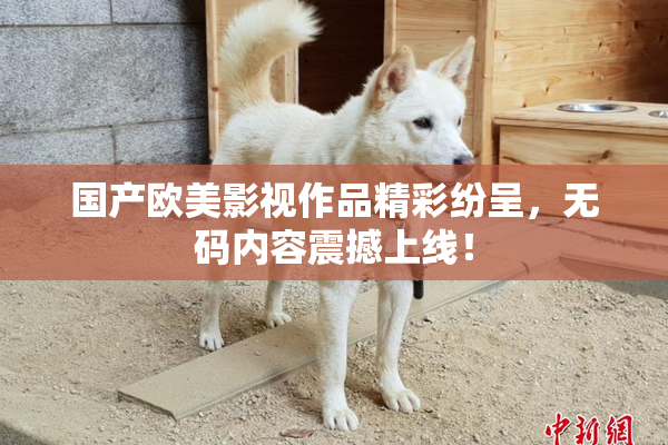 国产欧美影视作品精彩纷呈，无码内容震撼上线！