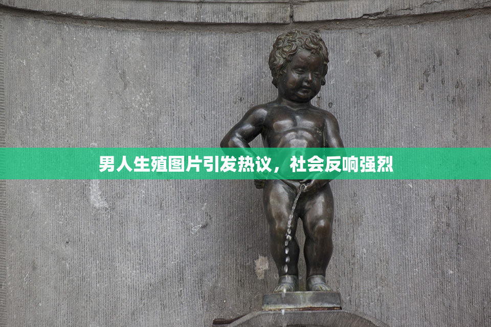 男人生殖图片引发热议，社会反响强烈