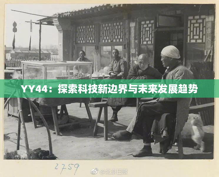 YY44：探索科技新边界与未来发展趋势