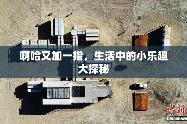 啊哈又加一指，生活中的小乐趣大探秘