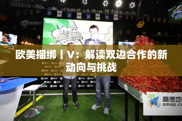 欧美捆绑丨V：解读双边合作的新动向与挑战