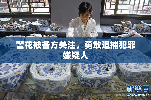 警花被各方关注，勇敢追捕犯罪嫌疑人