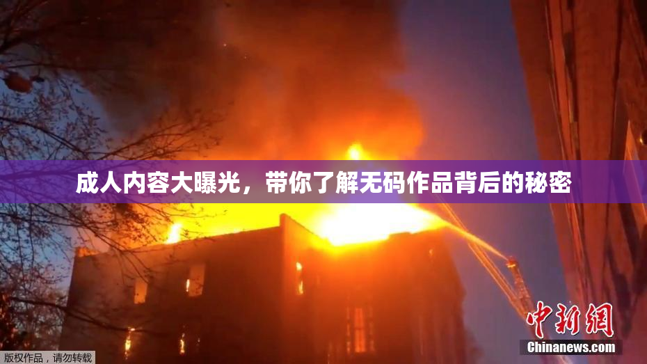成人内容大曝光，带你了解无码作品背后的秘密