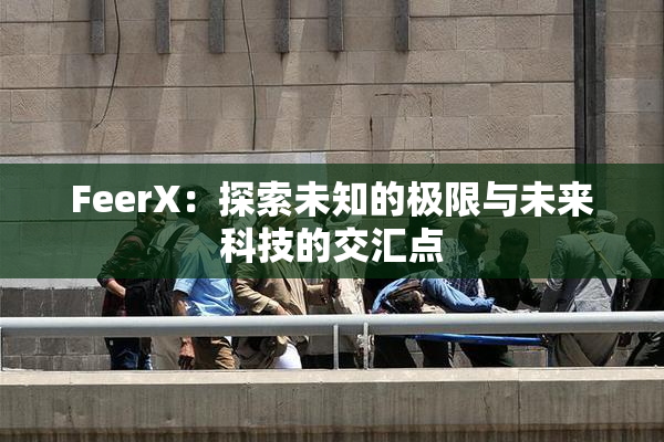 FeerX：探索未知的极限与未来科技的交汇点