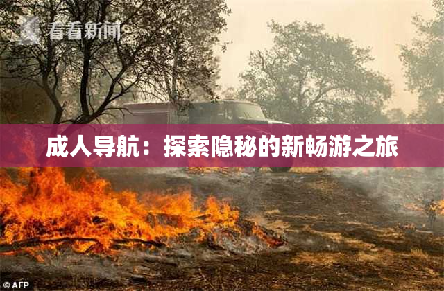 成人导航：探索隐秘的新畅游之旅