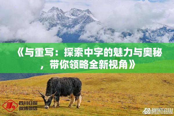 《与重写：探索中字的魅力与奥秘，带你领略全新视角》