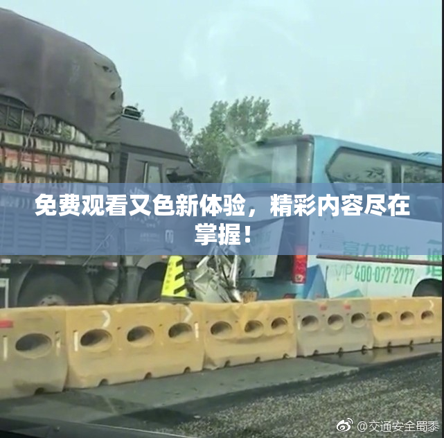 免费观看又色新体验，精彩内容尽在掌握！
