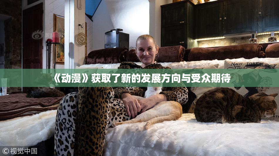 《动漫》获取了新的发展方向与受众期待