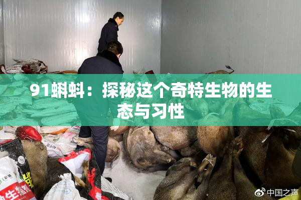 91蝌蚪：探秘这个奇特生物的生态与习性