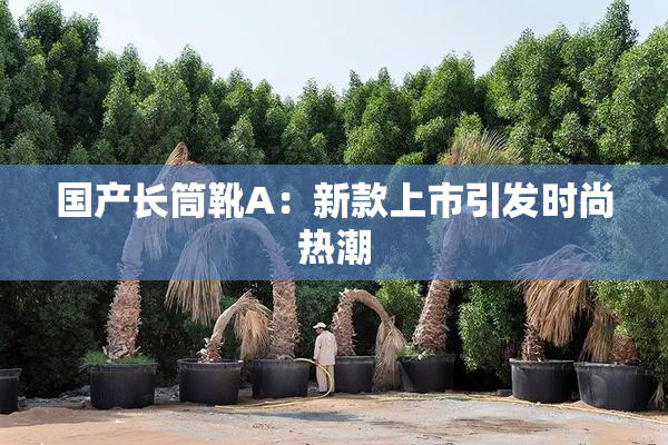 国产长筒靴A：新款上市引发时尚热潮