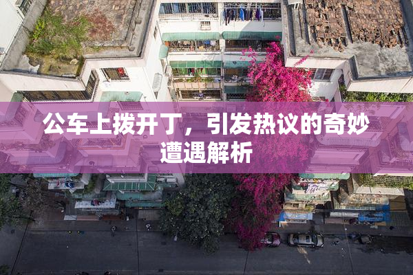 公车上拨开丁，引发热议的奇妙遭遇解析