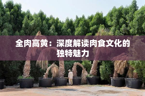 全肉高黄：深度解读肉食文化的独特魅力