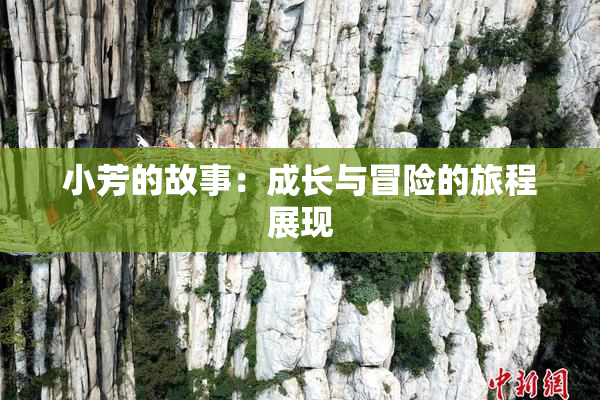 小芳的故事：成长与冒险的旅程展现
