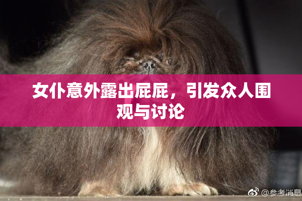 女仆意外露出屁屁，引发众人围观与讨论