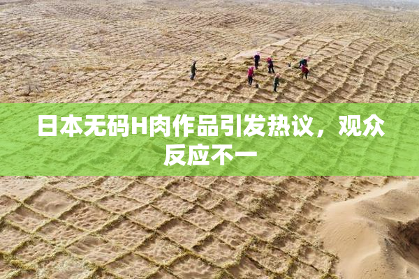 日本无码H肉作品引发热议，观众反应不一