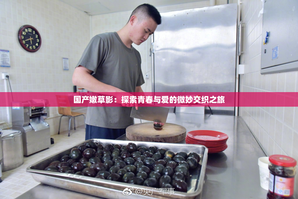 国产嫩草影：探索青春与爱的微妙交织之旅