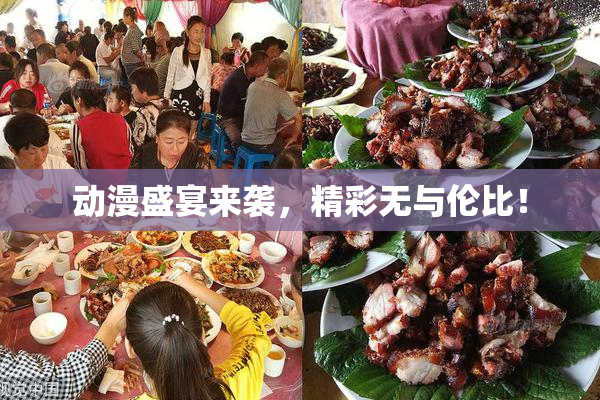 动漫盛宴来袭，精彩无与伦比！