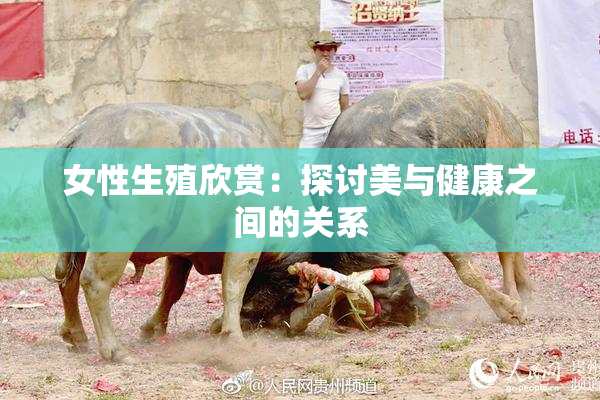 女性生殖欣赏：探讨美与健康之间的关系
