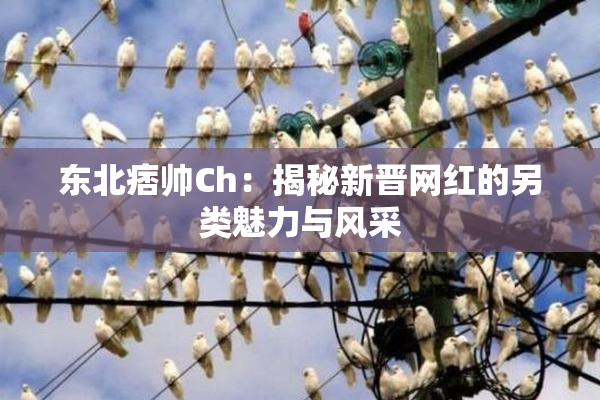 东北痞帅Ch：揭秘新晋网红的另类魅力与风采