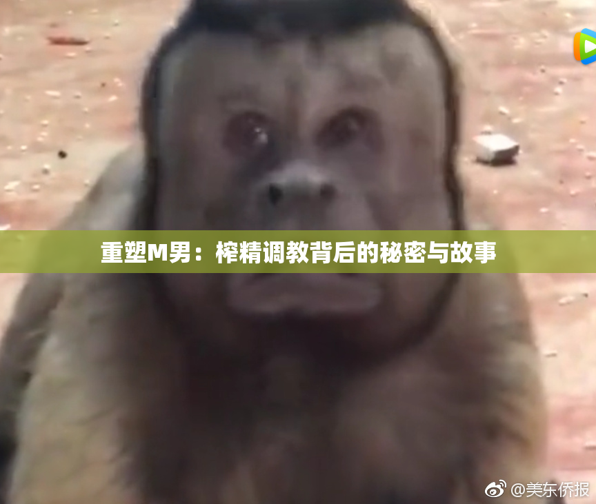 重塑M男：榨精调教背后的秘密与故事